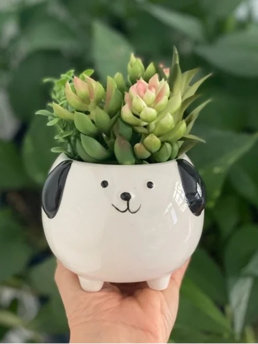 Ceramic Dog Face Planter Pot in White with Black Ears